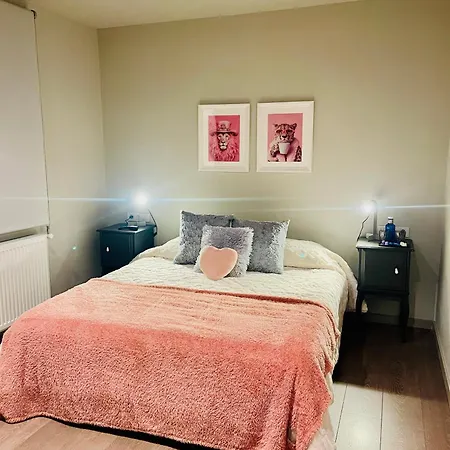 别墅 Cal Querol Llac 普奇塞达